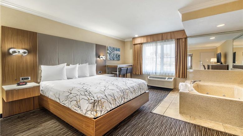 <b>Best Western Airpark Hotel Room</b>. Images powered by <a href="https://iceportal.shijigroup.com/" title="IcePortal" target="_blank">IcePortal</a>.