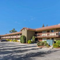 Best Western Orchard Inn