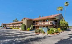 Best Western Orchard Inn