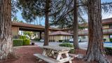 <b>Best Western Orchard Inn Other</b>. Images powered by <a href="https://iceportal.shijigroup.com/" title="IcePortal" target="_blank">IcePortal</a>.
