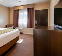 Best Western Plus Glendale Room