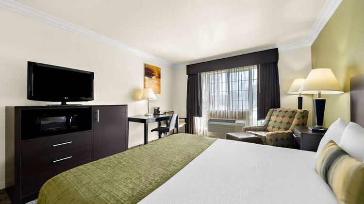 Best Western Executive Inn Room
