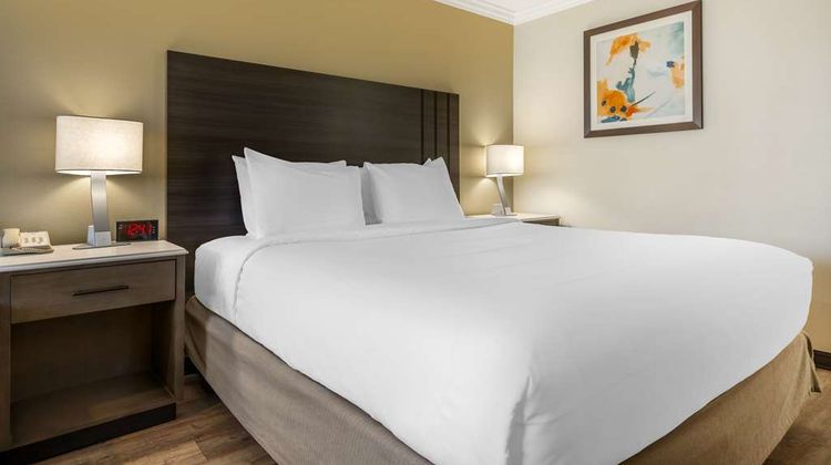 Best Western Plus Orange County Airport Room