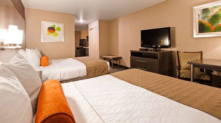 Best Western Plus Rama Inn & Suites Suite