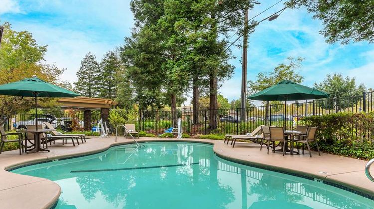 Best Western John Muir Inn Pool