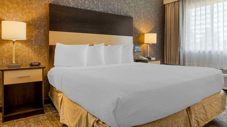 <b>Best Western Los Angeles Worldport Hotel Room</b>. Images powered by <a href="https://iceportal.shijigroup.com/" title="IcePortal" target="_blank">IcePortal</a>.