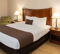 Best Western I-5 Inn & Suites Room