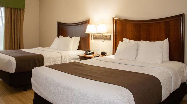 Best Western I-5 Inn & Suites Room