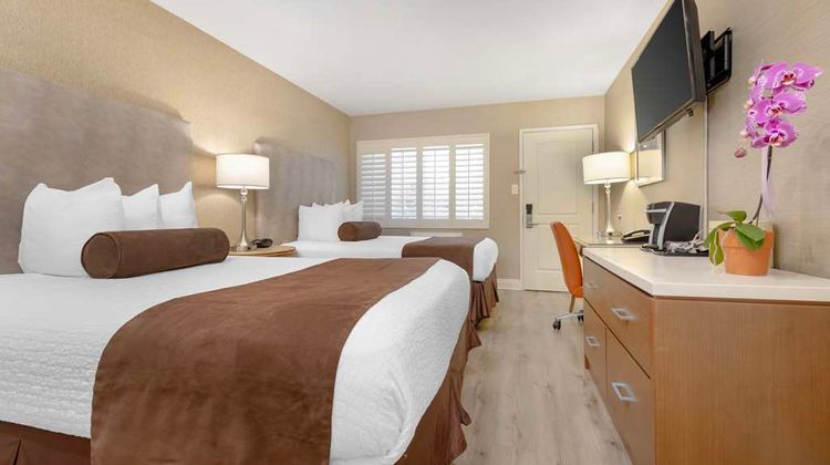 Best Western Downtown San Diego Room