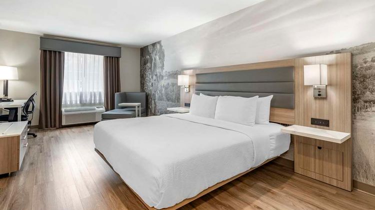 Best Western Plus Vineyard Inn Room
