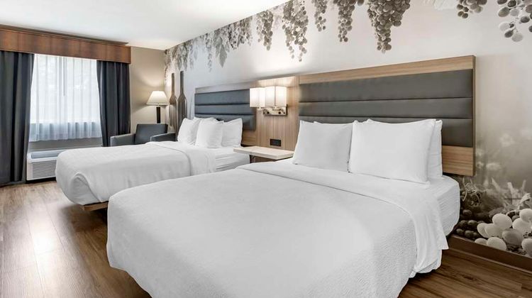 Best Western Plus Vineyard Inn Room