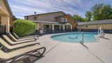 Best Western Antelope Inn & Suites Pool
