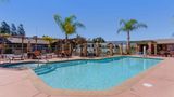 Best Western Plus Forest Park Inn Pool