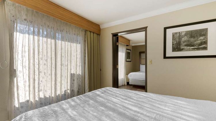 Best Western Plus Forest Park Inn Room