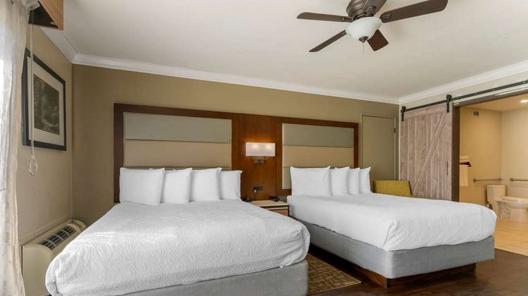 Best Western Plus Forest Park Inn Room