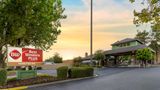 Best Western Plus Forest Park Inn Exterior