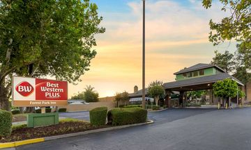 Best Western Plus Forest Park Inn