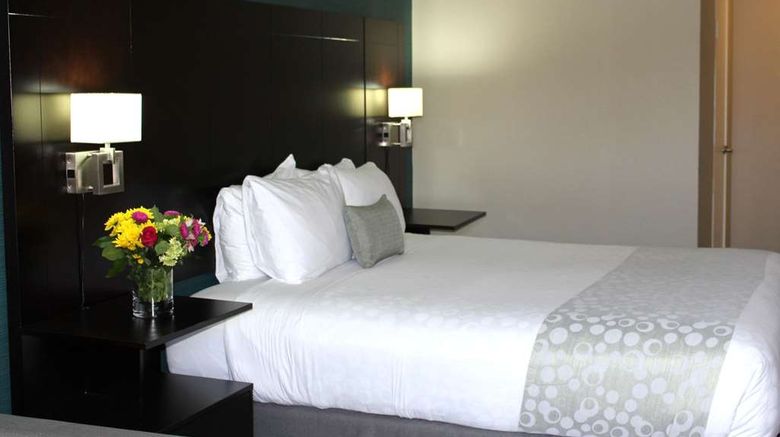 <b>Best Western Plus La Mesa San Diego Room</b>. Images powered by <a href="https://iceportal.shijigroup.com/" title="IcePortal" target="_blank">IcePortal</a>.