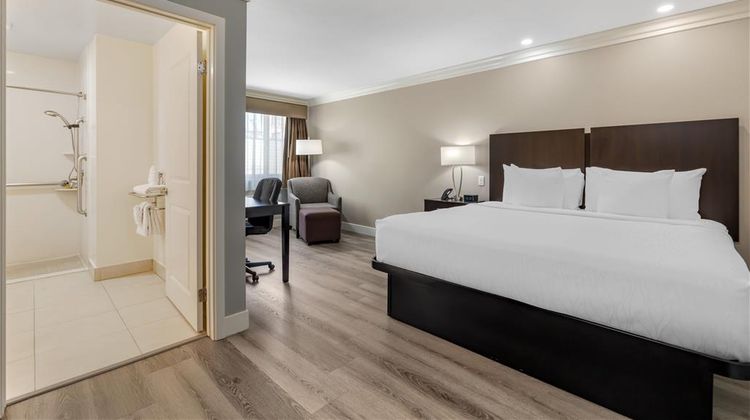 Best Western Plus LA Mid-Town Hotel Room
