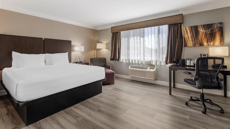 Best Western Plus LA Mid-Town Hotel Room