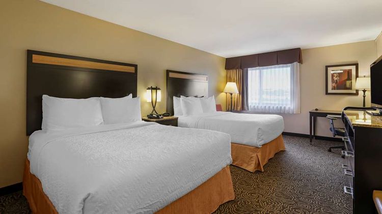 Best Western Plus Castle Rock Room