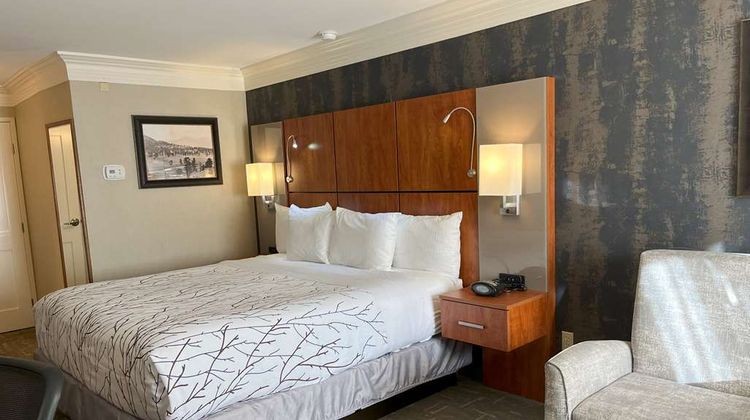 Best Western Plus Silver Saddle Inn Room