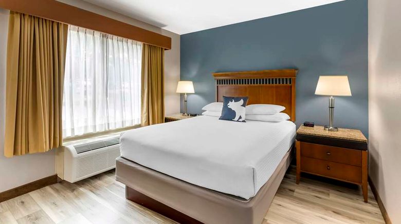 <b>Best Western Denver Southwest Room</b>. Images powered by <a href="https://iceportal.shijigroup.com/" title="IcePortal" target="_blank">IcePortal</a>.