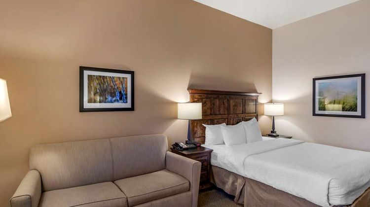 Best Western Brighton Inn Room