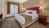 Best Western Plus Louiseville Inn & Stes Room