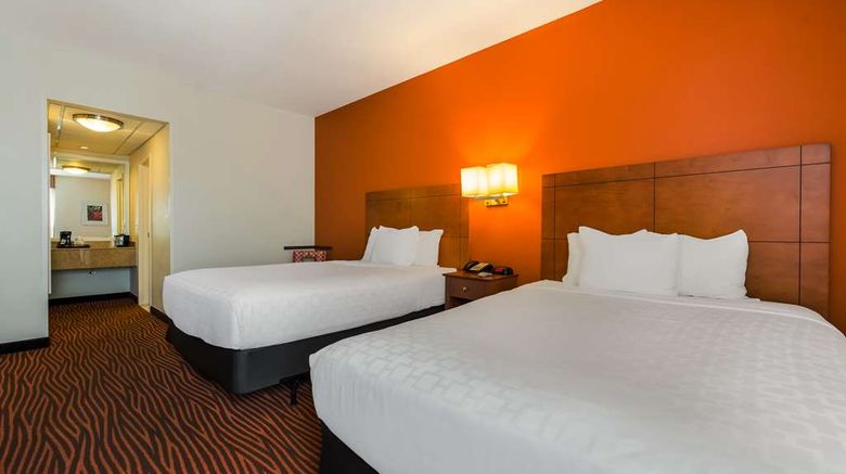 <b>Best Western Executive of New Haven Room</b>. Images powered by <a href="https://iceportal.shijigroup.com/" title="IcePortal" target="_blank">IcePortal</a>.
