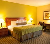 Best Western Plus Miami-Doral/Dolphin Ma Room