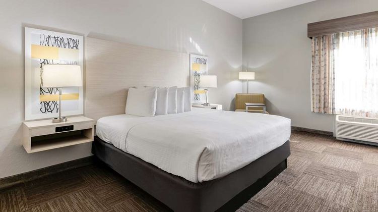 Best Western Auburndale Inn & Suites Room