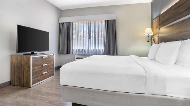 Best Western Wakulla Inn & Suites Room