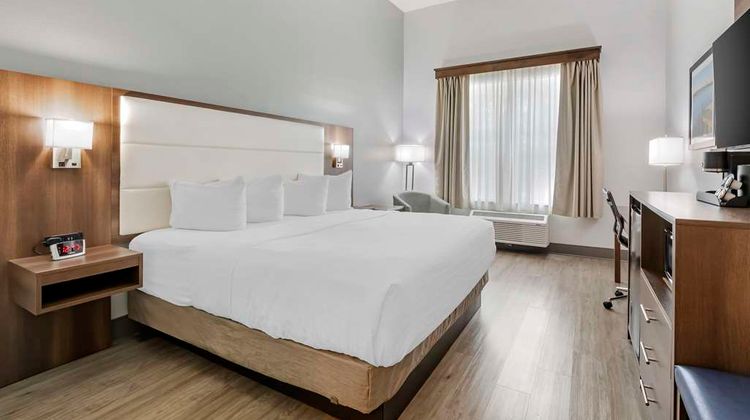 Best Western Plus First Coast Inn/Suites Room