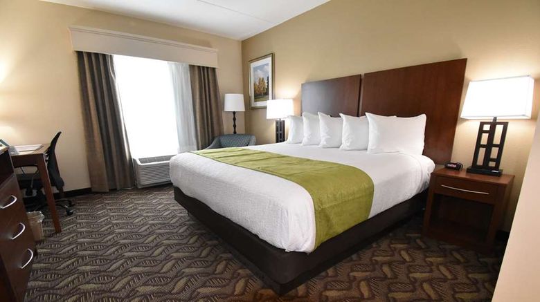 <b>Best Western Athens Room</b>. Images powered by <a href="https://iceportal.shijigroup.com/" title="IcePortal" target="_blank">IcePortal</a>.