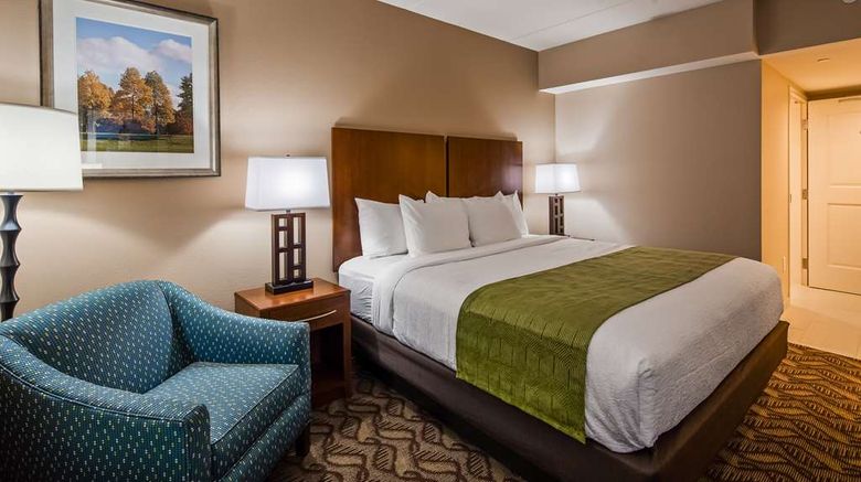 <b>Best Western Athens Room</b>. Images powered by <a href="https://iceportal.shijigroup.com/" title="IcePortal" target="_blank">IcePortal</a>.