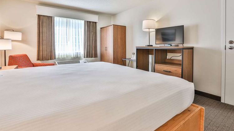 Best Western Mountain View Inn Room