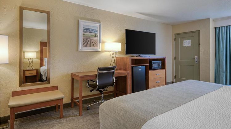 Best Western Foothills Inn Room