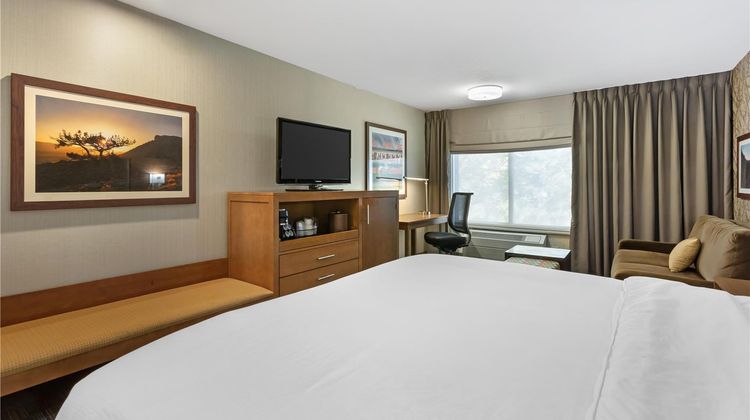 Best Western Plus CottonTree Inn Room