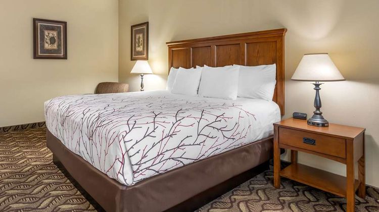 Best Western Lodge at River's Edge Room