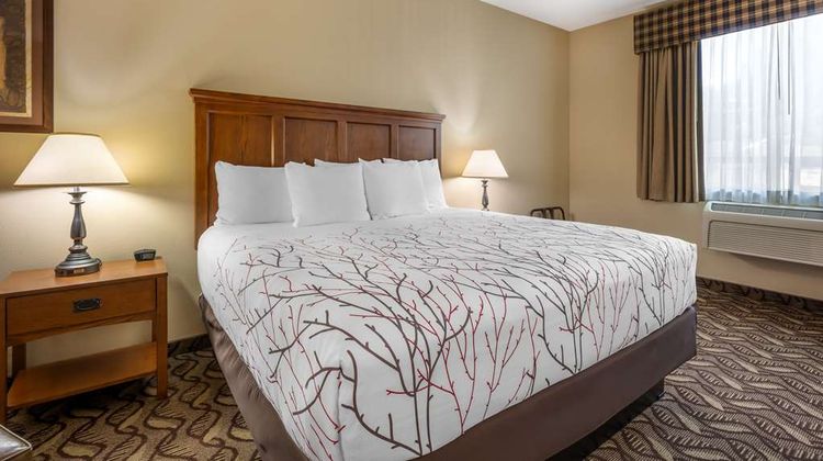 Best Western Lodge at River's Edge Room