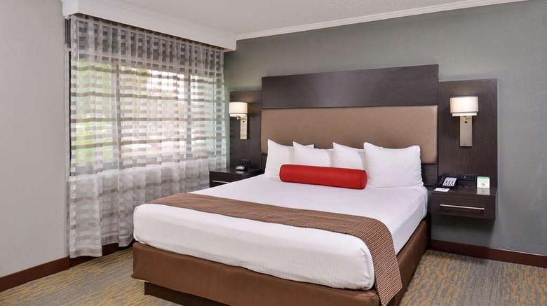 <b>Best Western at O'Hare Room</b>. Images powered by <a href="https://iceportal.shijigroup.com/" title="IcePortal" target="_blank">IcePortal</a>.