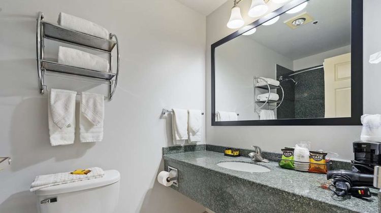Best Western Plus Oakbrook Inn Other