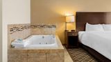 <b>Best Western Paradise Inn Room</b>. Images powered by <a href="https://iceportal.shijigroup.com/" title="IcePortal" target="_blank">IcePortal</a>.