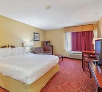 Best Western Clearlake Plaza Room