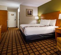 Best Western Plus Chicago Hillside Room
