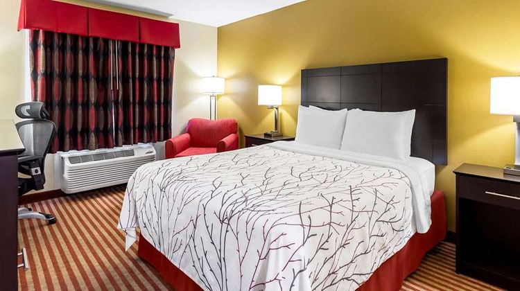 Best Western Jacksonville Inn Room