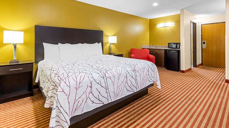 Best Western Jacksonville Inn Suite