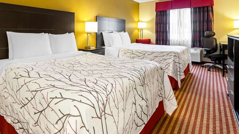 <b>Best Western Jacksonville Inn Room</b>. Images powered by <a href="https://iceportal.shijigroup.com/" title="IcePortal" target="_blank">IcePortal</a>.