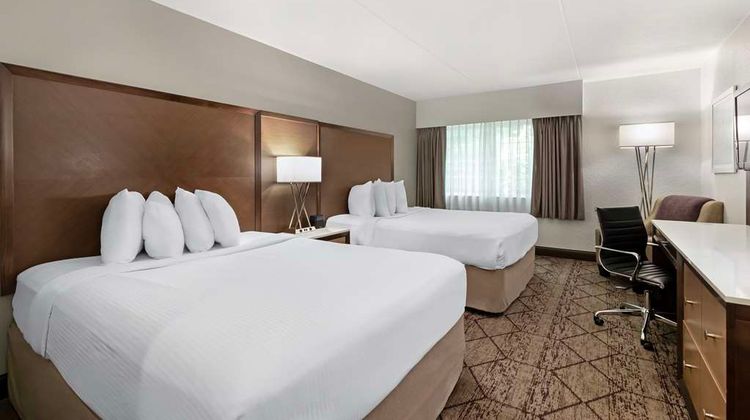 Best Western Plus  Longbranch Hotel Room